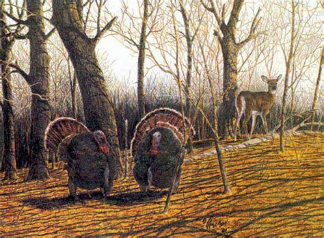 larry anderson wildlife art turkey wildlife art sandn limited edition prints
