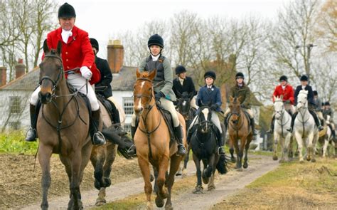 Fox Hunts Are Merging To Survive As Experts Say That The Future Of The