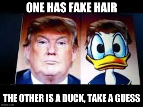 Donald Trump Donald Duck Imgflip