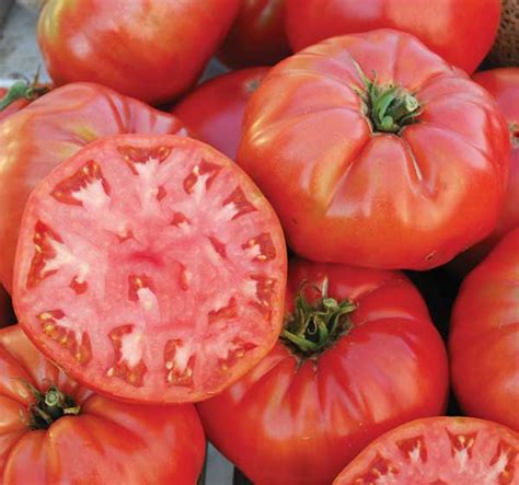 Heirloom Tomato Varieties For Your Garden Garden Grit
