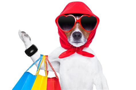 Dicas Para Escolher Os Melhores Produtos Para Pet Shop Kelldrin