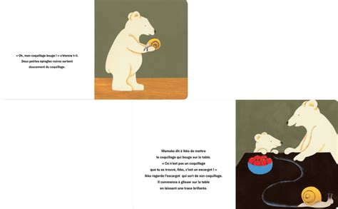 Amazonfr Ikko Et Le Coquillage · Petit Ours · Album Tout Carton