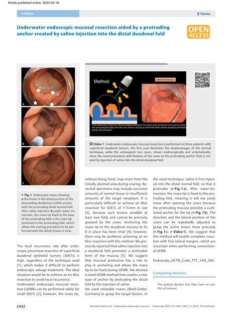 Pdf Underwater Endoscopic Mucosal Resection Aided By A Protruding