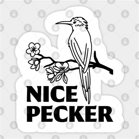 Nice Pecker Funny Fathers Day Bird T Woodpecker Sticker Teepublic