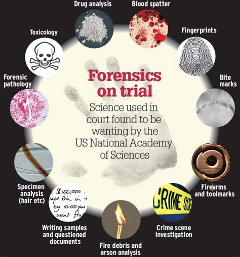 Difference Between Forensic Science And Criminology