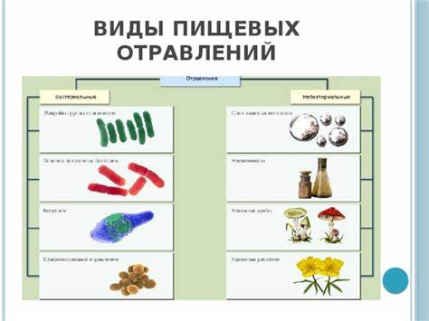 Диета пищевые отравления Пищевые отравления и их предупреждение Пищевые отравления и их предупреждение Диета пищевые отравления