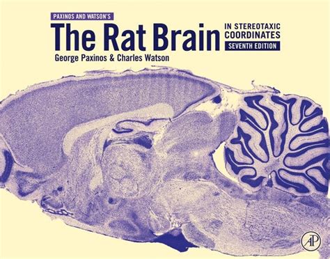 The Rat Brain In Stereotaxic Coordinates By George Paxinos Ao Ba Ma