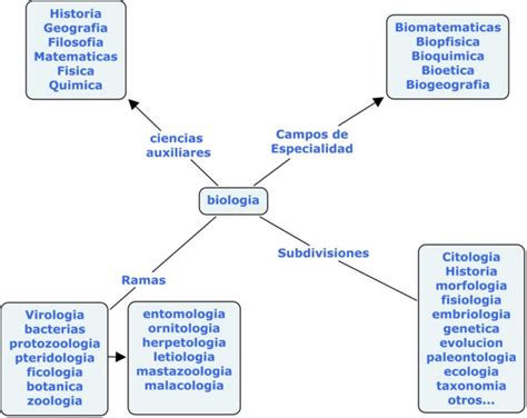 Cuadros Sinópticos Sobre Biologia Cuadro Comparativo