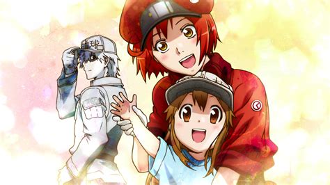 Anime Cells At Work Hd Wallpaper By Frankstation