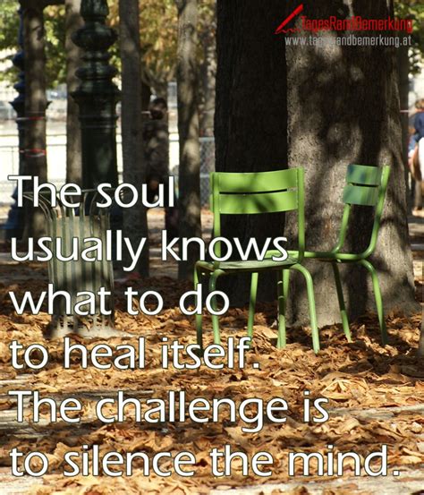 The Soul Usually Knows What To Do To Heal Itself The Challenge Is To