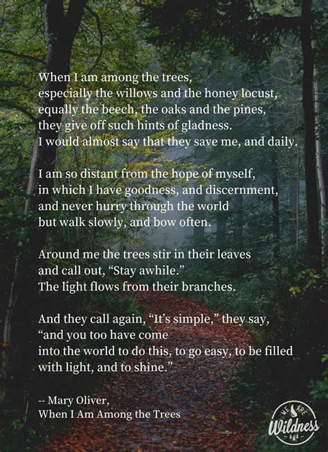 When I Am Among The Trees Mary Oliver Nature Quotes Trees
