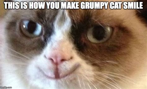 Make Your Own Grumpy Cat Meme Photos