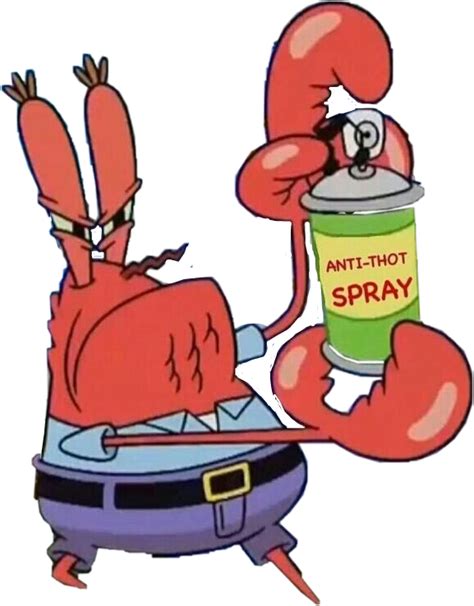Download Report Abuse Spongebob Anti Thot Spray Png Image With No