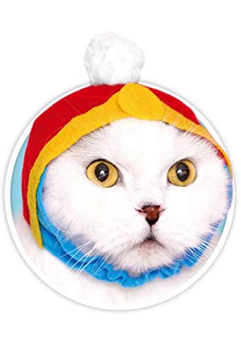 Kitan Club Cat Cap Pet Hat Blind Box Includes 1 Of 5 Cute Styles