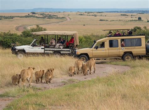 Top Things To Do On A Safari In Tanzania Tanzania Safaris Activities