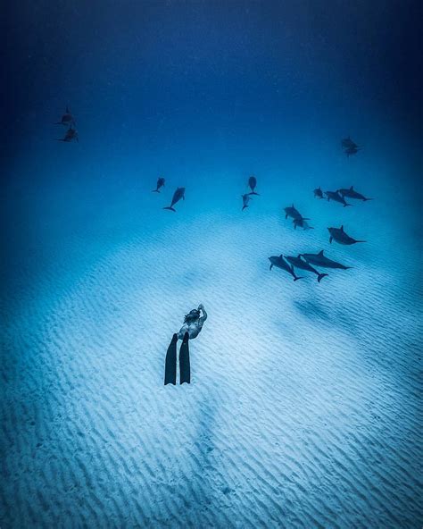 Underwater Photographer Underwater Photos Under The Ocean Sea