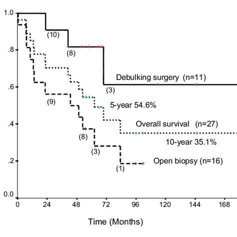 Overall Survival Curve Of The 27 Patients Survival Curves Of Patients