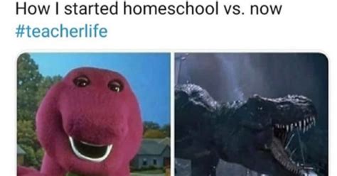 Because we've all learned the horrors of a home haircut. Introducing a Roundup of the Best School Appropriate Memes ...