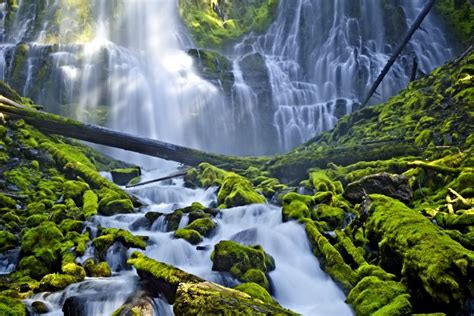 Emerald Cascade Proxy Falls Oregon David Balyeat Photography