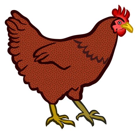 Clipart Chicken Fowl Clipart Chicken Fowl Transparent Free For