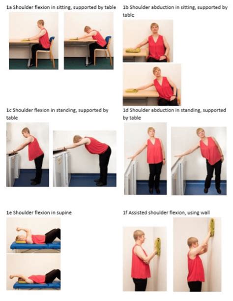 Shoulder Therapy Exercise Charts