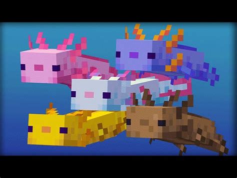 List Of Changes To Minecraft Axolotls In 11710 Bedrock