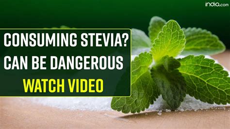 Stevia Side Effects Consumption Of Stevia On A Regular Basis Can Have