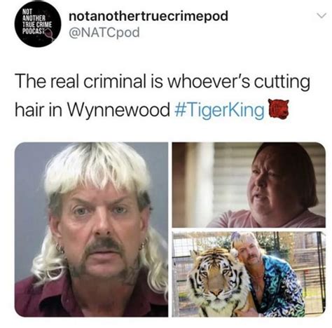 Of The Best Funny Tiger King Memes Tweets
