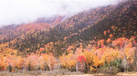 Viewers Choice Best Places To View Fall Foliage In New