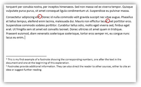 🌱 Example Of Footnotes In A Paper Example Of Footnote In A