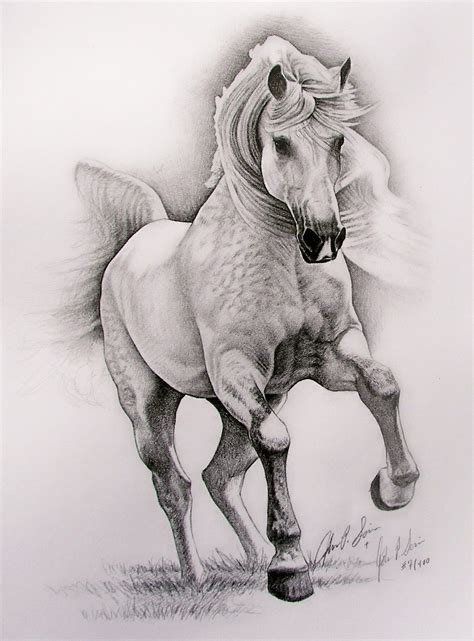 Dappled Horse By Johnnydraws On Deviantart Horse Drawings Animal Art
