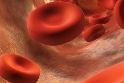 Nerve And Blood Vessel Regeneration Using 3d Bioprinting Technologies