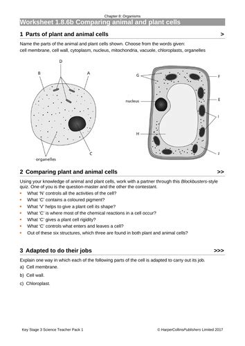 Aqa Ks3 Year 7 Introduction To Plant And Animal Cells Teaching Resources