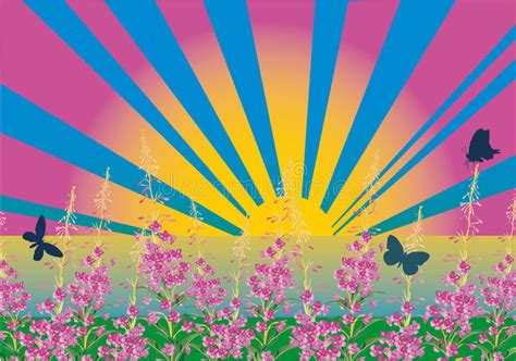 Sunset Above Pink Flowers Stock Vector Illustration Of