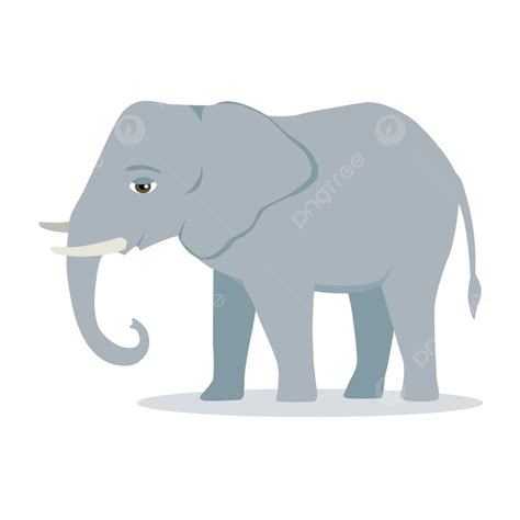 Gajah Kartun Gajah Hutan Mamalia Besar Semak Afrika Gajah Asia Dengan