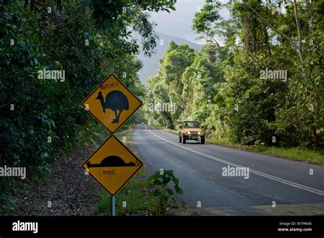 Cape Tribulation Cassowary Sign And Speed Bump Sign Vandalised To A