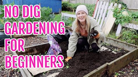 No Dig Gardening For Absolute Beginners Youtube