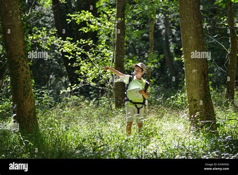 Little Boy Walking Alone In Forest France Stock Photo Alamy