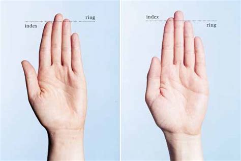 Latest Finger Length Study Measures The Politeness Of Men The