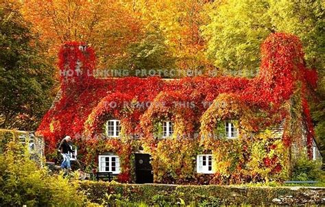 Autumn House Wallpapers Wallpaper Cave