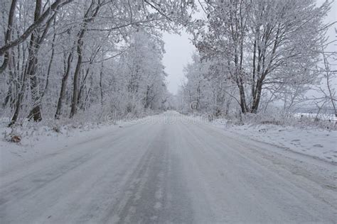 Winter Snowy Road Stock Image Image Of Season Road 48709333