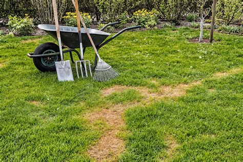 Diy Lawn Repair 101 How To Fix Bare Spots Gnh Lumber Co