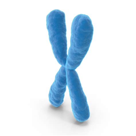 Cartoon Chromosome X Png Images And Psds For Download Pixelsquid