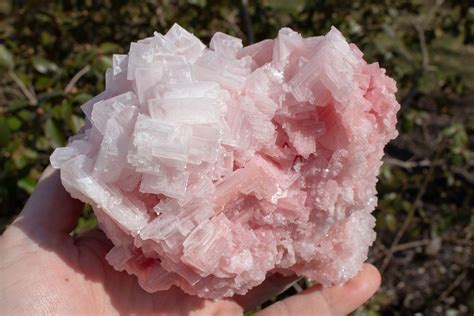 Pink Halite Meanings And Crystal Properties The Crystal Council