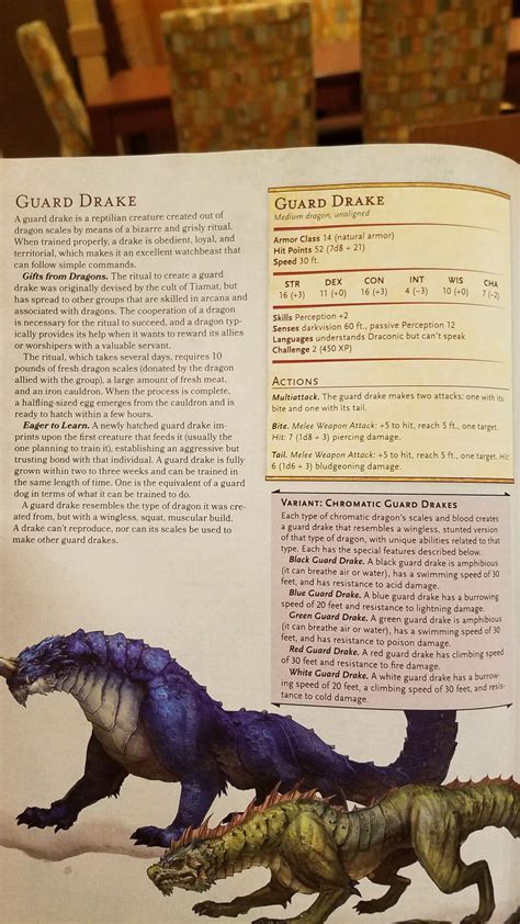 Drakes are creatures that resemble dragons, but have no wings. Guard drake | Dnd character sheet, Dnd monsters, Dnd 5e ...