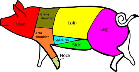 • 3 млн просмотров 1 год назад. Cuts of Pork Explained - The Farmwife Crafts