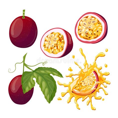 Passion Fruit Set Cartoon Vector Illustration Stock Illustration Illustration Of Sweet