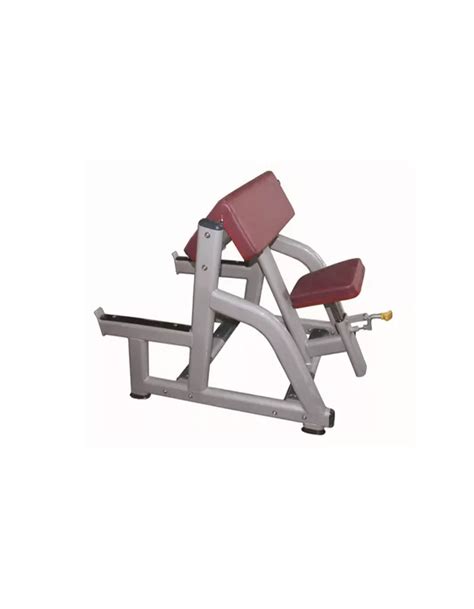 Seated Arm Curl Fw 1004 Into Wellness