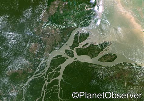 Amazon River Delta Brazil Satellite Image