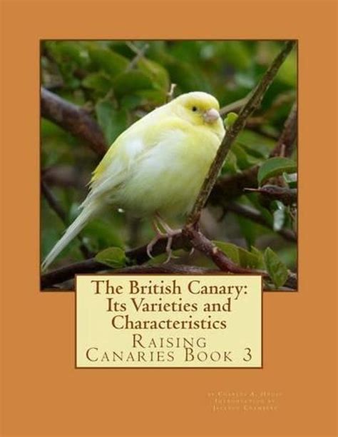 The British Canary Its Varieties And Characteristics Raising Canaries
